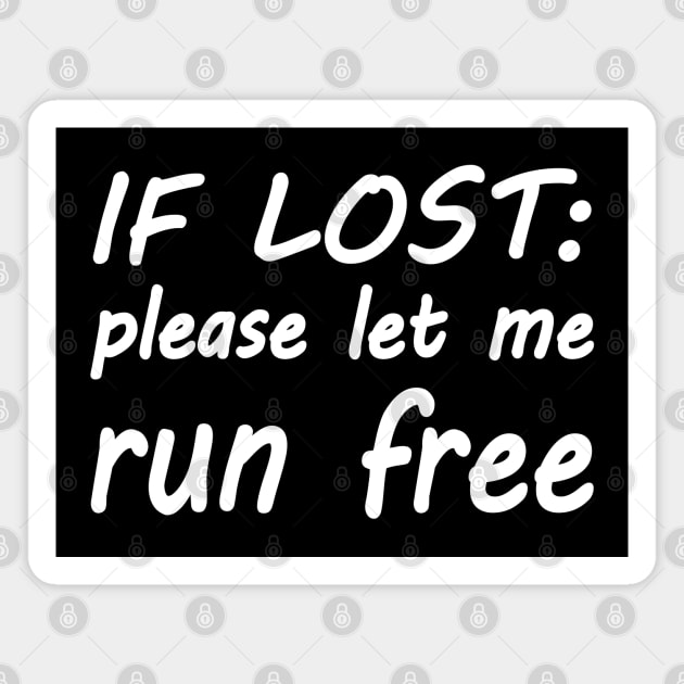 If lost please let me run free Magnet by WolfGang mmxx